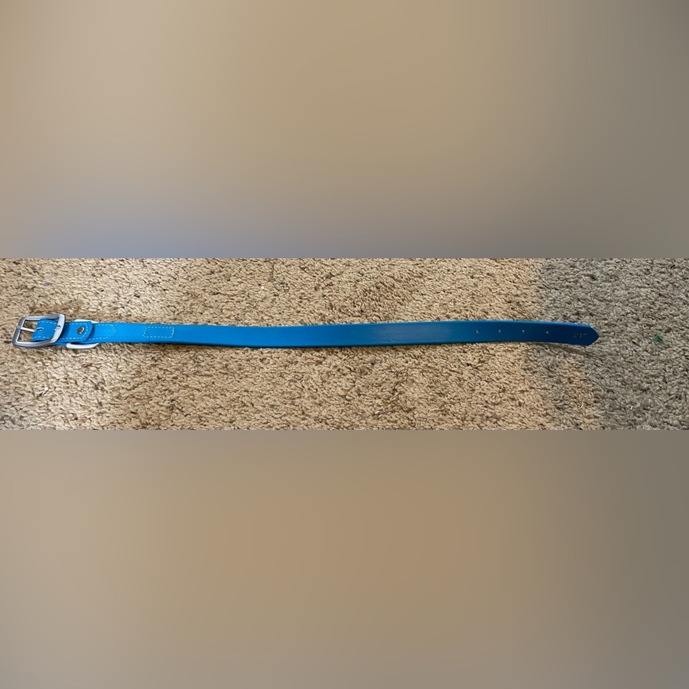 Teal Dig Collar Size 21 inches